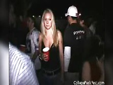 Party Blitz Blowjob And Fucking Hardcore