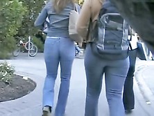 Amateur Hidden Cam Films Girls With Hot Asses On The Street