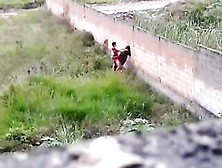 Slutty Pair Was Caught On Tape Whilst Banging In A Public Place,  During The Day