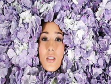 Among The Petals Lies Beauty Untold Until Now,  As The Lovely Darcia Lee Lies On A Bed Covered In Flowers,  Her Mouth Open To Acce