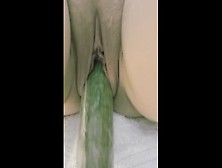 Watch Gigantic Cucumber Skank Enjoys It Free Porn Video On Fuxxx. Co