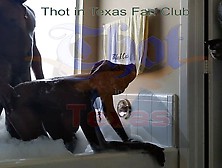 Thot In Texas - Black Ebony Milf Fucking Strangers,  Fucking My Wife