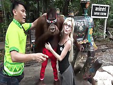 Amateur Blonde Girlfriend Piper Perri Having Fun Time In Her Safari World