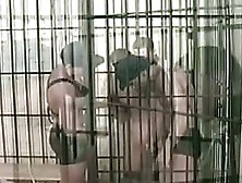 Hot Gay Orgy Behind Prison Cell Doors