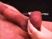 X Mistress Testicle Needle. Mp4