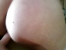 Hot Hm Anal - Leashed And Bound Pawg. Mp4