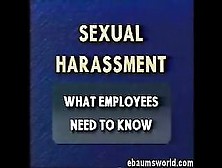 Sexual Harassment Spoof