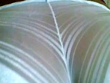 Panty Trasparente Blanco 2