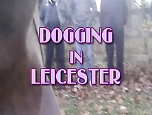 Dogging With Louise