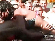 Brutal Catfight - Cat Fights Unleashed