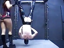 Mistress Dominating Her Slave In Front Of Her Other Slaves