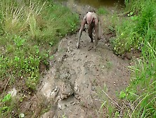 Shooting Muddy Man