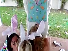 Easter Bunny Fever