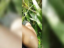 Indian Painful Sex In Field