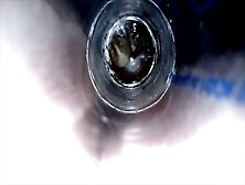 Spider In A Tube Fucked And Swallowed (Anal/oral E