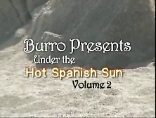Am Burro Spanish Sun