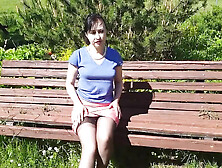 Sunny,  But Windy Day In May 2020.  A Bench In A Garden