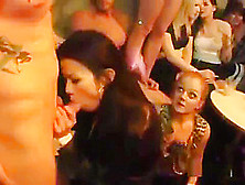 Frisky Chicks Get Absolutely Wild And Nude At Hardcore Party