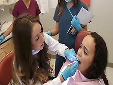 Dentist Check-Up