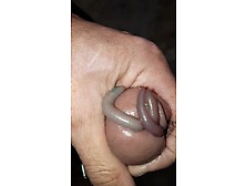 4 Worms In My Cock