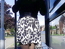 Black And White Skirt Windy Upskirt Stockings