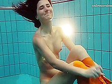 Swimming Pool Erotics In Cute Fishnets