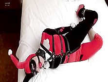 Harley Quinn - Bound And Gagged