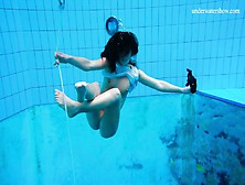 Sexy Alla Birtakik Undresses Nude In The Swimming Pool