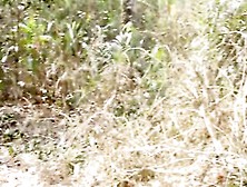 Leaked Sex Film Of Ebony Bbw Performer,  Having Hardcore Doggy Style Sex Into The Bush With A Local Farmer Somewhere Into