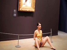 Woman Spreads Her Vagina At Art Museum In Front Of Public