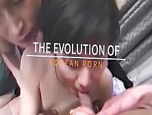 Evolution Of Porn In Korea (Pmv)