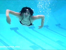 Demeter Underwater Black Bikini