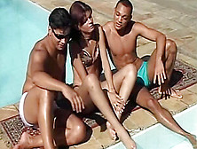 Brazilian Travestis: Levando Atras (Back Door She-Males) (2003) - Aline Ganzarolli,  Suelen Ferrari And Amanda Anderson