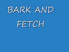 Bark And Fetch