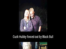 Cuck Hubby Forced Out By Black Bull