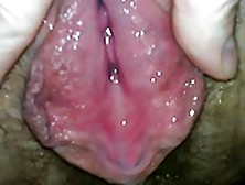Cum Dripping From My Pussy