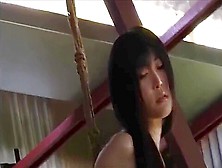 Japanese Hanging Bondage