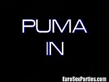 Ap Euro Sex Parties 028 Puma