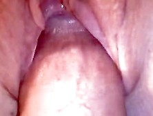 Wifes Pussy Closeup