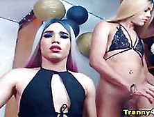 Playful Tranny Duo Pleasure Each Other
