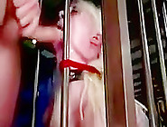Caged Slave Sucks Her Masters Cock