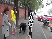 The Slave Was Ridden Outdoor And Kneel Down On The Road While Slapped