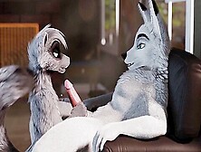 Aaron Fox X Robin Raccoon Oral Sex