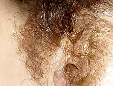 Central African R Hairy Pussy