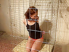 Caged Bondage