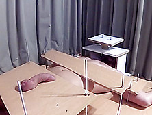 Amateur Femdom Cbt And Handjob With Post Orgasm Torture