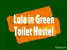 Lula Masturbates And Moans Passionately In Public Toilet