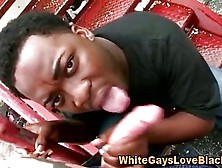 Interracial Thug Eats White Dick