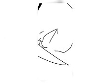 Digital Drawing Of Cougar Oc (Drawing Process Tape)