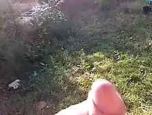 More Playing In Backyard. Mp4